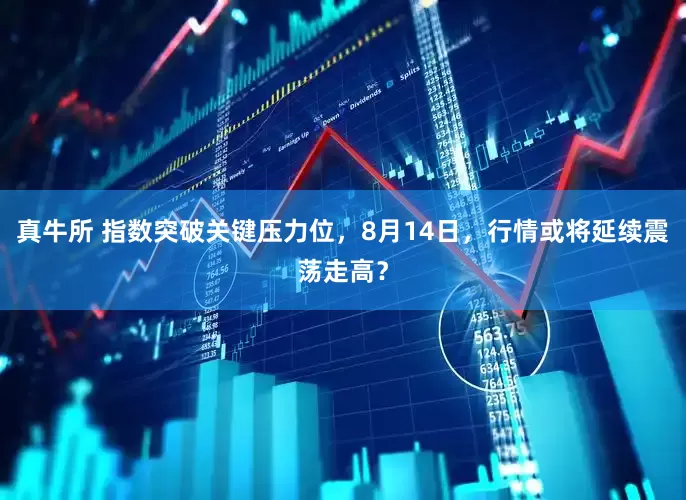 真牛所 指数突破关键压力位，8月14日，行情或将延续震荡走高？